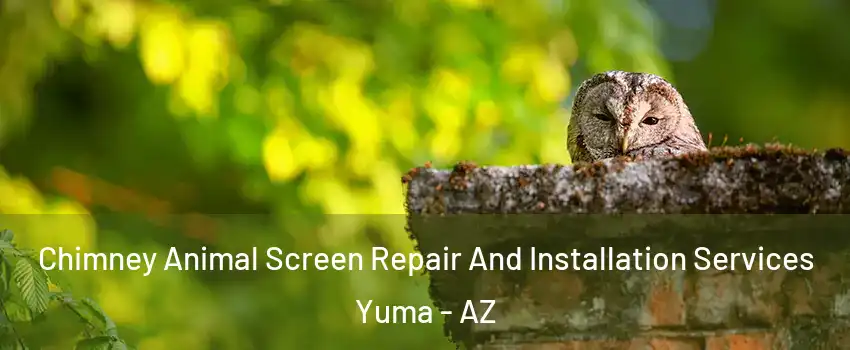  Chimney Animal Screen Repair And Installation Services Yuma - AZ