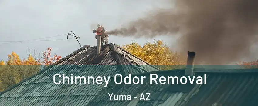  Chimney Odor Removal Yuma - AZ