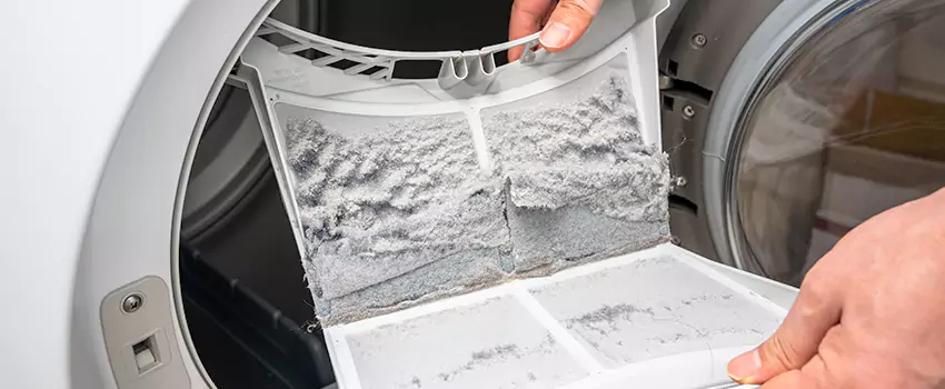 Best Dryer Lint Removal Company in Yuma, Arizona
