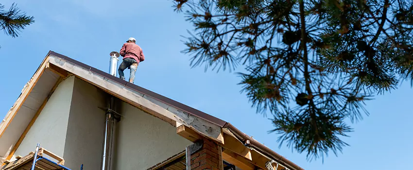 Birds Removal Contractors from Chimney in Yuma, AZ