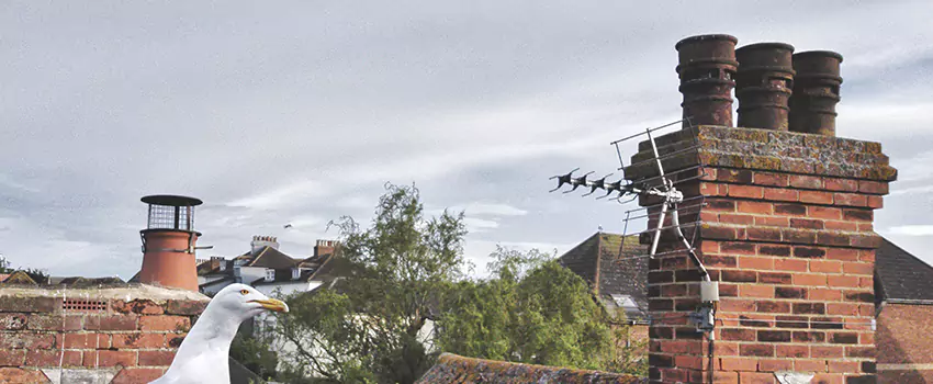 Chimney Cleaning And Restoration in Yuma, Arizona