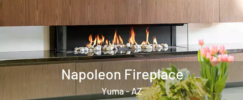  Napoleon Fireplace Yuma - AZ